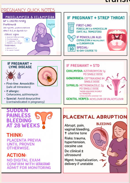 The 2026 FNP Review 3P APEA Exam Review Book