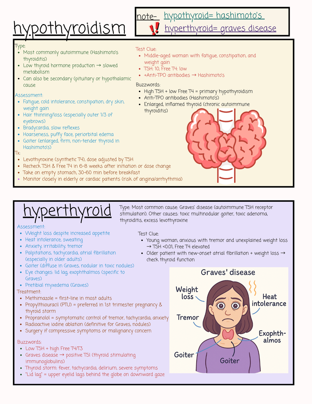 The 2026 FNP Review 3P APEA Exam Review Book
