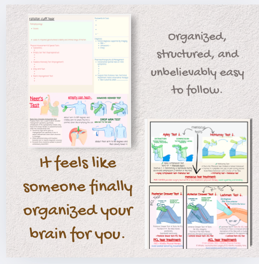 The FNP Review Book + WorkBook