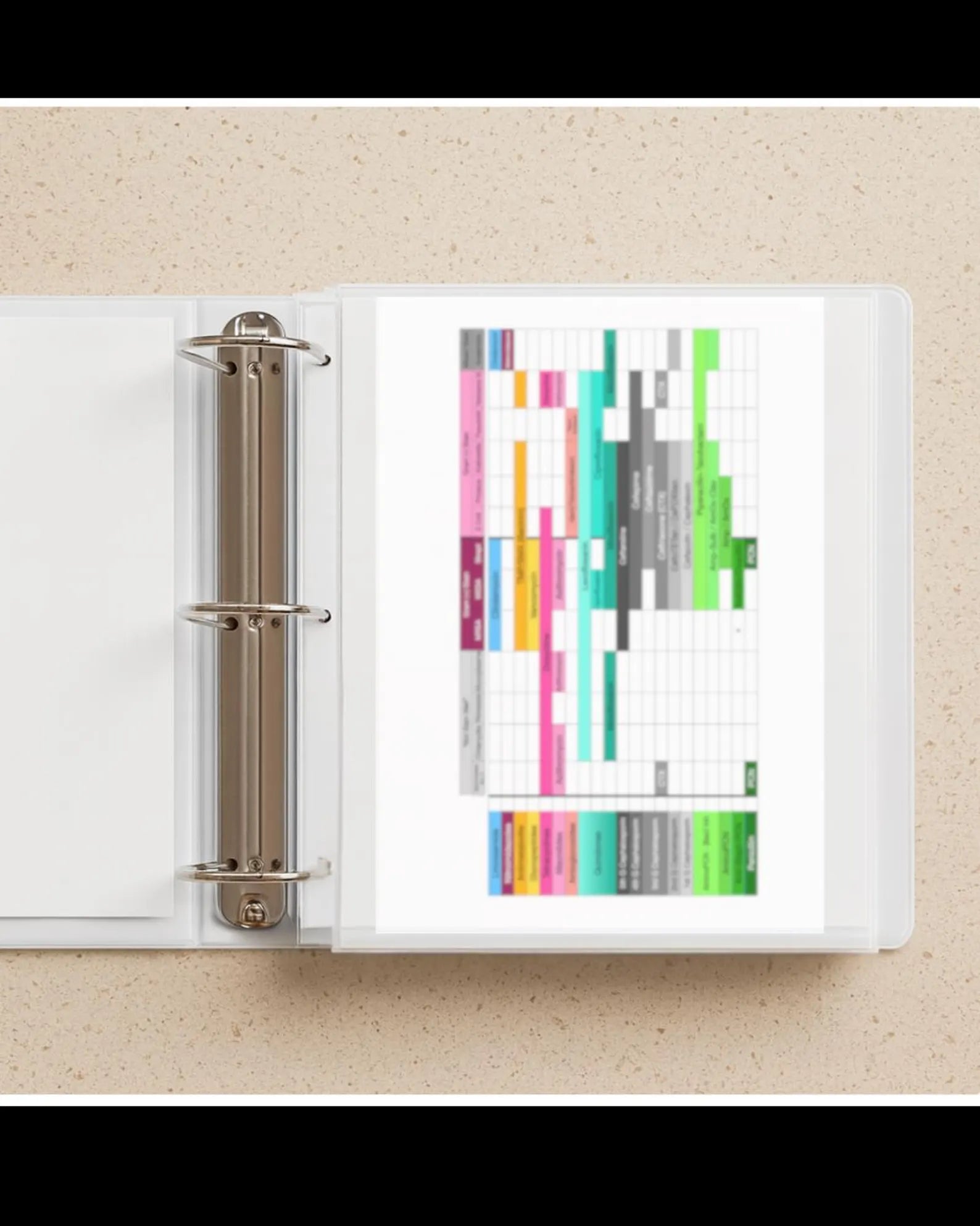 FNP Board Review Book